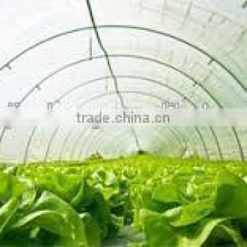 greenhouse plastic film for sale