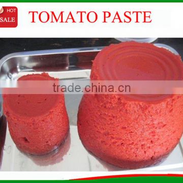 high quality tin tomato paste 2200g