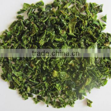 Chinese dired Green bell pepper Flakes 9X9mm good quality export to EU