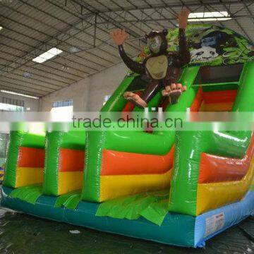 Best quatily PVC Tarpaulin giant inflatable water slide for sale