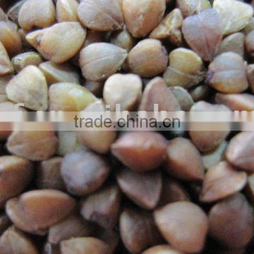 Raw Buckwheat kernels/buckwheat hulls good quality