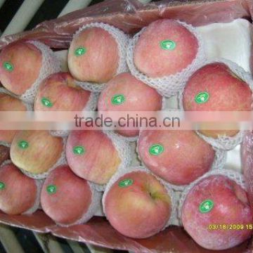 Chinese exporting red fuji apple