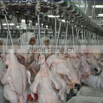 chicken slaughter line for broilers