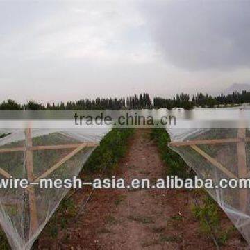 Agriculture HDPE anti-hail netting , 100GSM