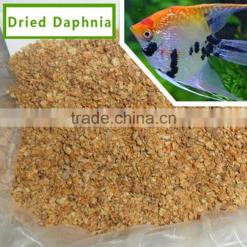 Frozen Daphnia For Fish Food