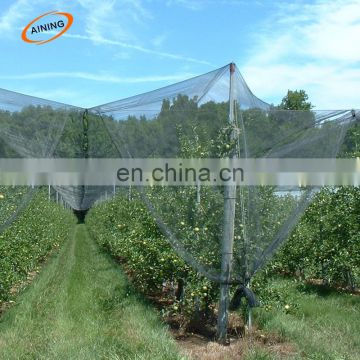 anti hail protection net for for agriculture apple tree