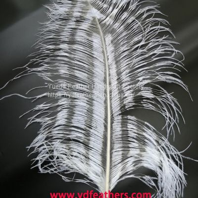 Burnt Ostrich Feather (spaced effect) From China For Wholesale