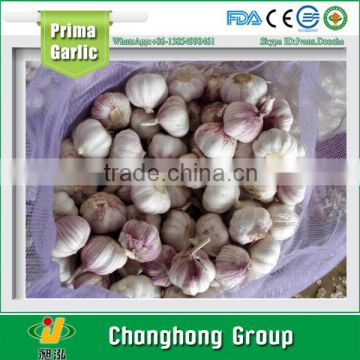 2015 fresh normal white garlic with lowest price