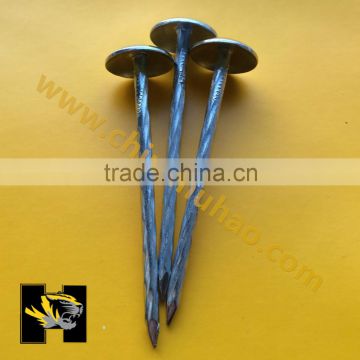 Supply high quality spiral shank roofing nails