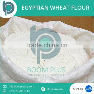 All Purpose Egyptian Wheat Flour