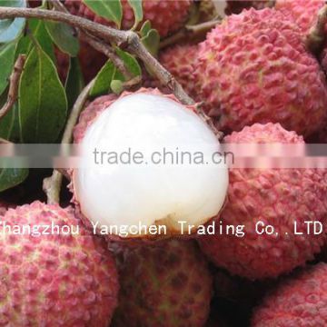 2014 Delicious Top Quality Canned Litchi Fruits