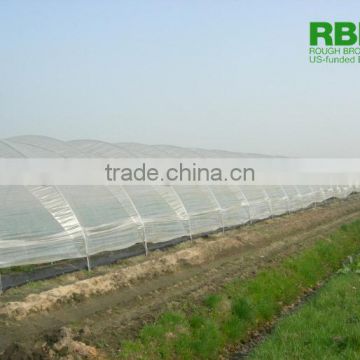 Greenhouse tunnel plastic film tunnel house low cost for strawberries
