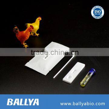 Rapid diagnostic test for poultry H7N9 Rapid test kit