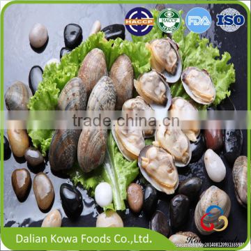 Frozen short neck clam with shell