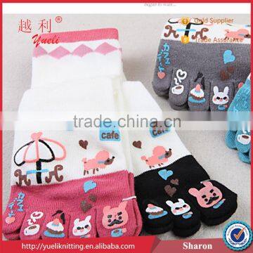 Kind of tape five toe cute rabbit sock with korea knitting machine