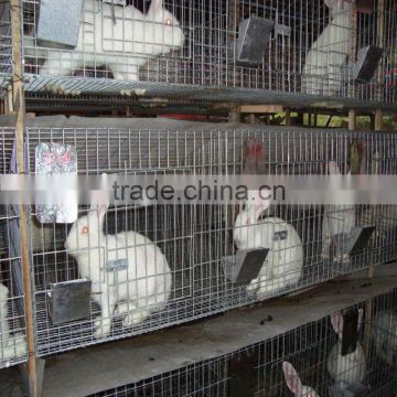 3 Story Metal Rabbit Cage Factory Price