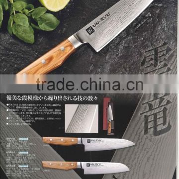 Japanese Kitchen knives set Knife case Pro knife bag made in Japan kitchen knife set