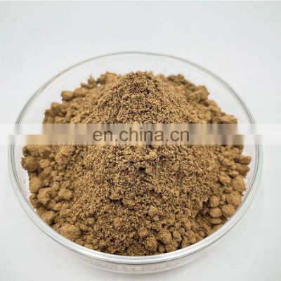 Hot Sale Ganoderma Lucidum Extract Reishi Mushroom Powder