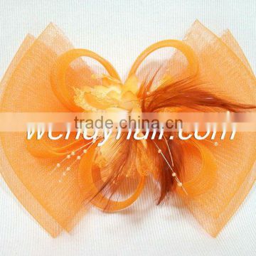 Beautiful and fashion hair accessories for women