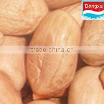 high quality peanut for export