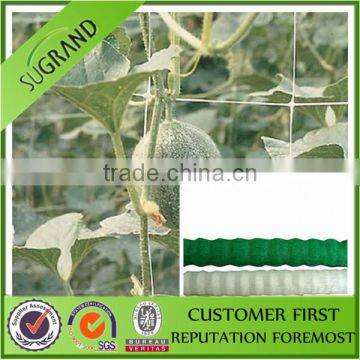 High quality pp material net for plant supporting