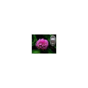 Red Clover Extract 20% Isoflavones