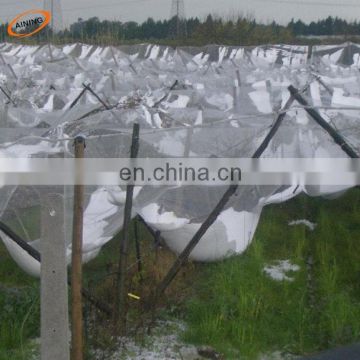 Vineyard Plastic hail protection net against hail/50gsm anti hail net/hail mesh screen for plantations