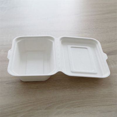 Organic compostable 600ml disposable lunch boxes wholesale