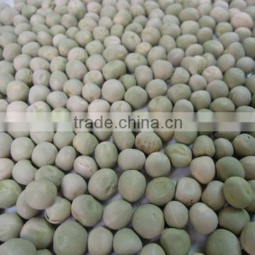 Green peas Dried US origin