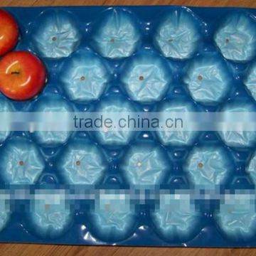 Customized different size tomato plastic serving trays