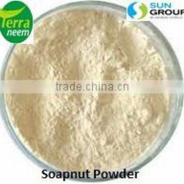 Soapberry Extract Powder