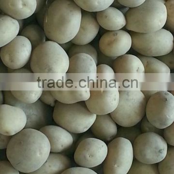 Fresh New Potato Crop from Pakistan