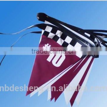 Triangle Colored Pennant Flags