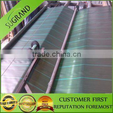 polypropylene Ground Cover with Green Line