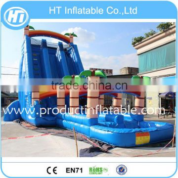 Giant Inflatable Water Slide For Adults ,Inflatable Water Slide Games With Pool