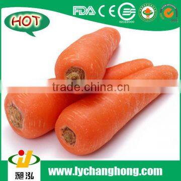 2014 New Crop Shandong Fresh Red Carrot Supplier