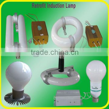 compact electrodeless induction light