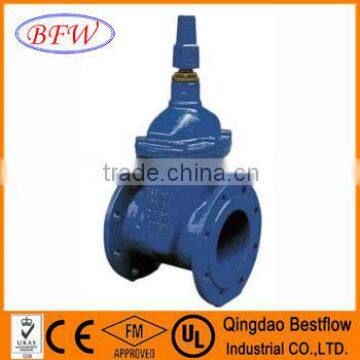 AWWA C509 gate valves