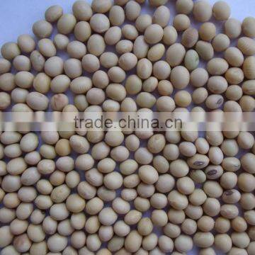 Low price Soybean with high Nutritional value from China