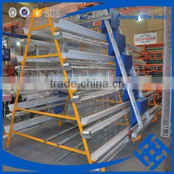 wholesale market 120 Bird and 160 Birds chicken cage