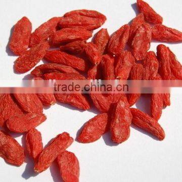 Chinese herb Goji Berry /Wolfberry