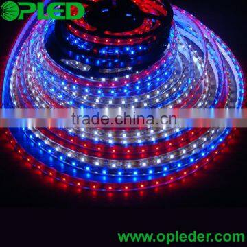 3528 300LEDs LED flexible strip IP20 white