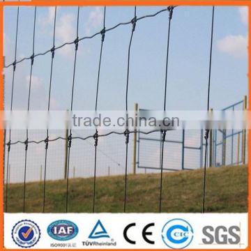 Anping professional manufacturer supplies ISO9001:2008,SGS,BV certified galvanized field fence , cattle fence