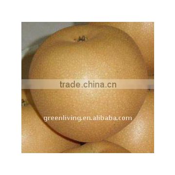 high quality fresh fengshui pear