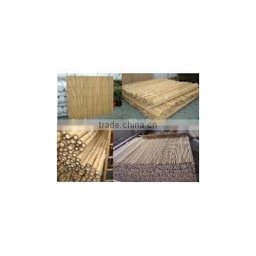 Natural bamboo poles With Great Quality