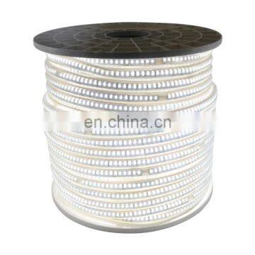 Indoor Decoration 220V 10MM 144 LED/M Flexible LED Strip Light