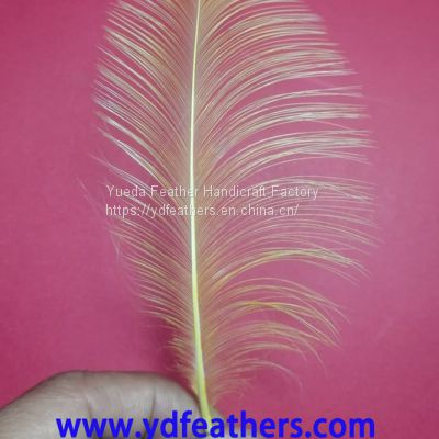 Burnt Goose Nageoires Feather Dyed Yellow From China