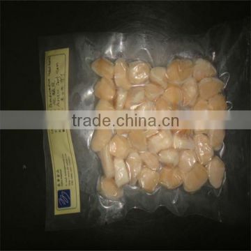 high quality and best sea frozen scallop seafood