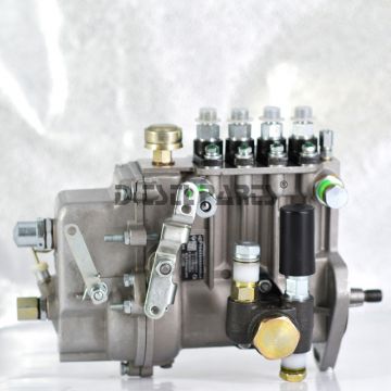 Fuel Injection Complete Pump Fuel Pump Assy Bhf4pl080040 for Kipor Kde20ss3 Diesel Generator
