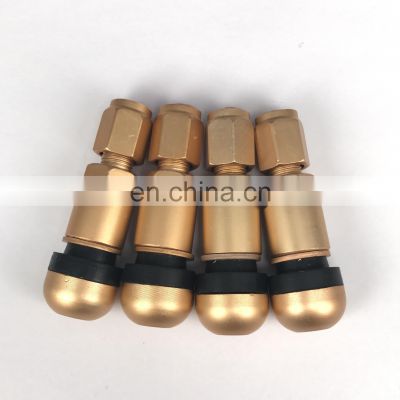 Hot Sale Factory Price YQY Car Tire Valves